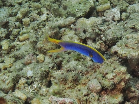 P1010234 (640x480)