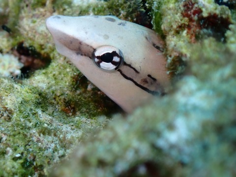 P9260027