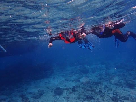 P3182171 (640x480)