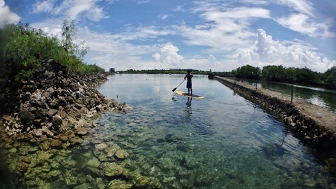 P7160020 (640x360)