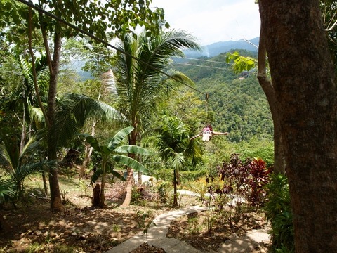 P3133658 (640x480)