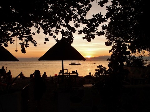 P3200430 (640x480)