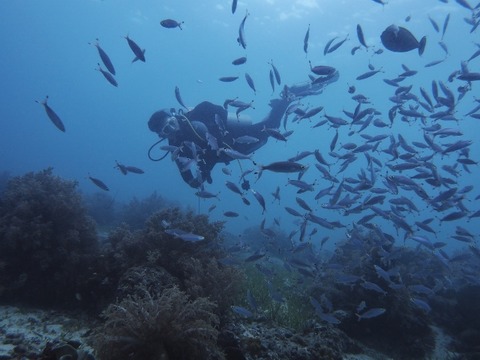 P7280263 (640x480)