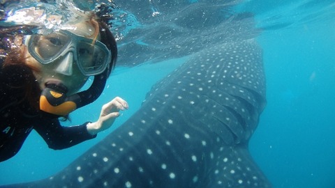 P7200296 (640x360)