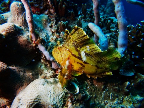 P3190032 (640x480)