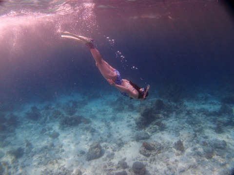 PA253372 (640x480)