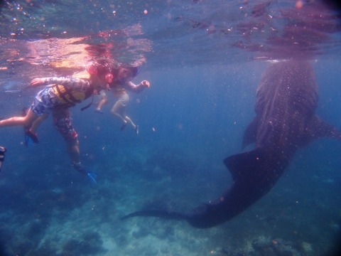 P1012521 (640x480)