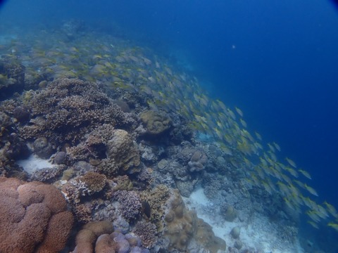 P7120006