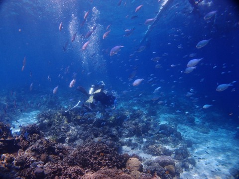 P4190272 (640x480)