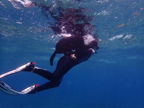 P7180198 (640x480)
