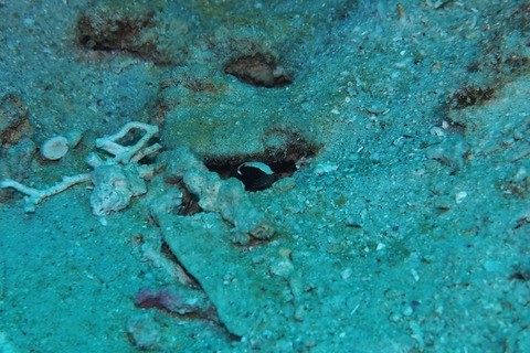 P6100121 (640x427)