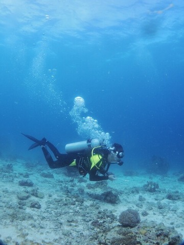 P3060081 (480x640)