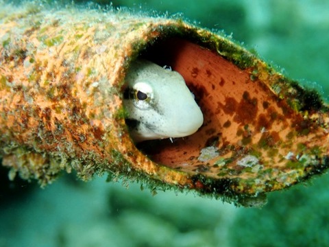 P2100125