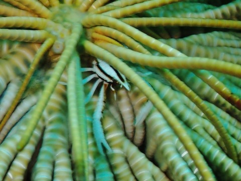 P2160085 (640x480)