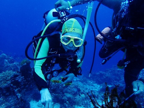 P8222351 (640x480)