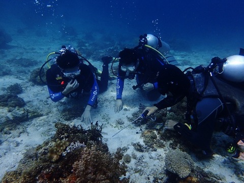 PA230020 (640x480)