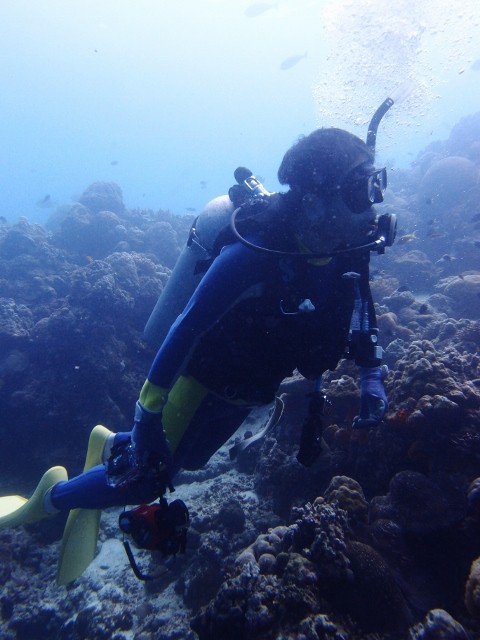 P1191800 (480x640)