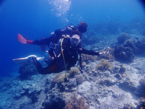 P1011092 (640x480)