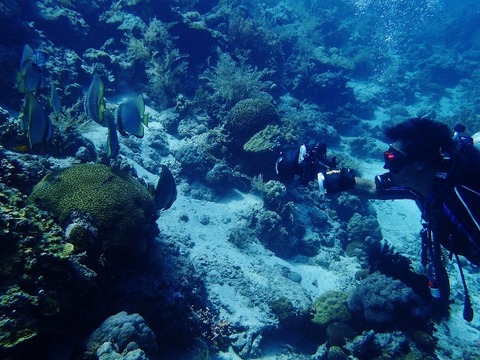 P8090039 (640x480)