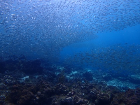 P9250004