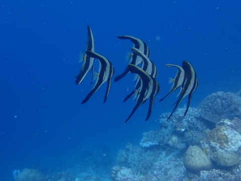 P3080046