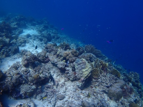 P4230134