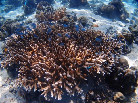 P2107843 (640x480)