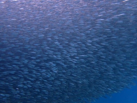 P2100105