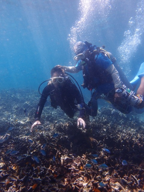 P2072024 (480x640)