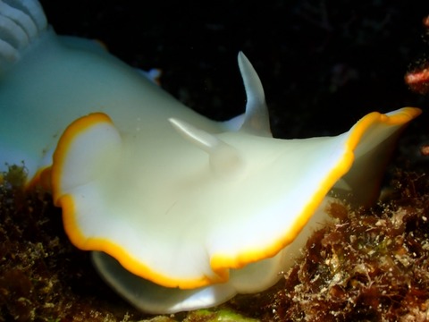 P8010025