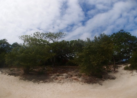 P1227779 (640x457)