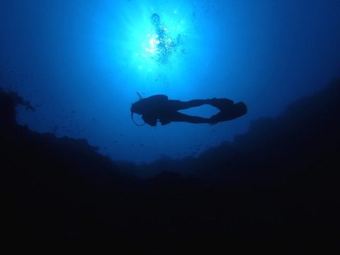 P1300158