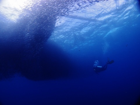 P1017111 (640x480)