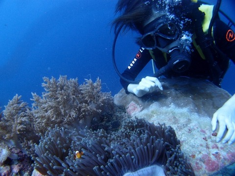 P2070737 (640x480)