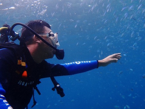 P1310084 (640x480)