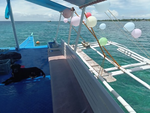 IMG20250514122544_BURST000_COVER