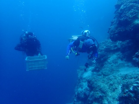 P3040017