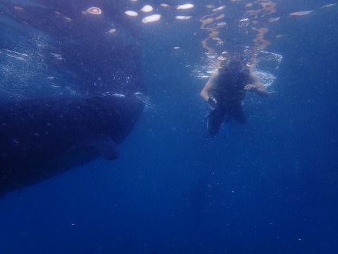 P8170285 (640x480)