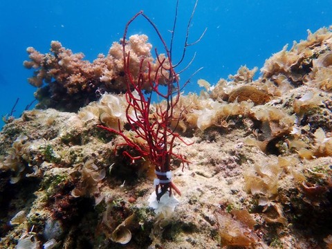 P6300086