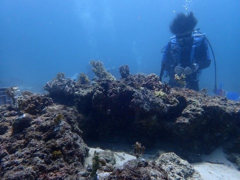P6020022