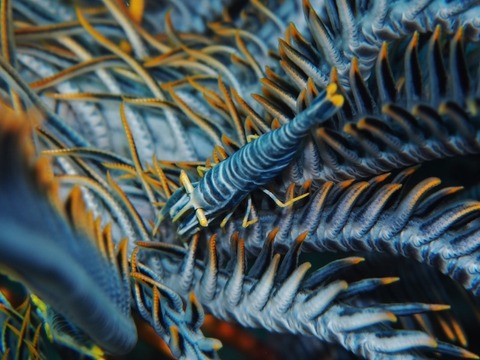 PA270043 (640x480)