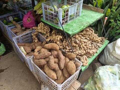 IMG20260516112222
