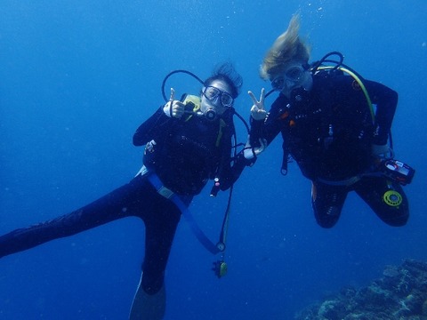 P4230762 (640x480)