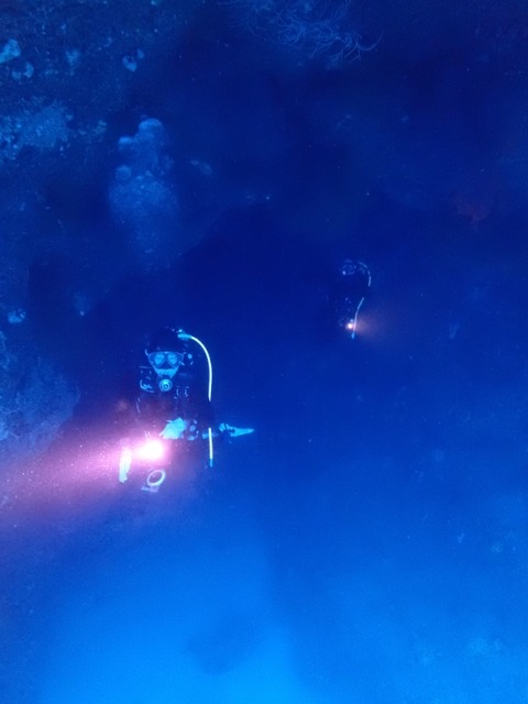P7040012