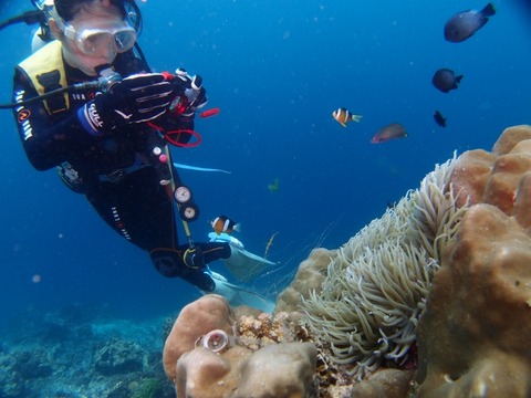 P7103667 (640x480)
