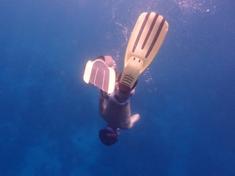 P3214238 (640x480)