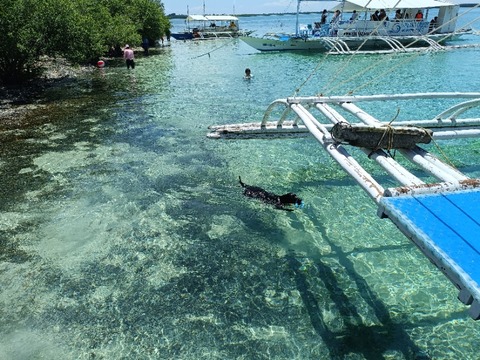IMG20250810104853