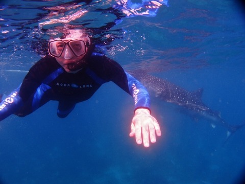 P1016961 (640x480)