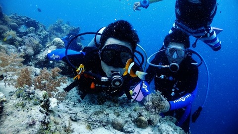 P4161029 (640x360)