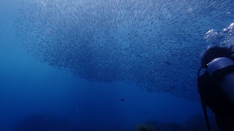 P4170124 (640x360)